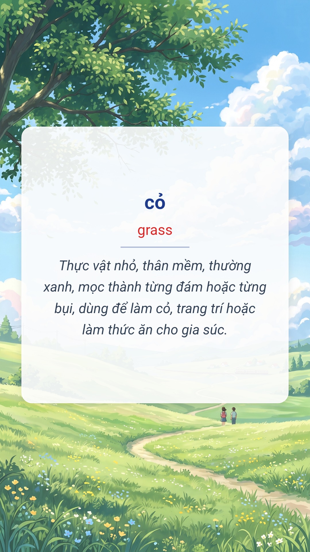cỏ tiếng Anh là grass Hình minh hoạ "cỏ" tiếng Anh là "grass"