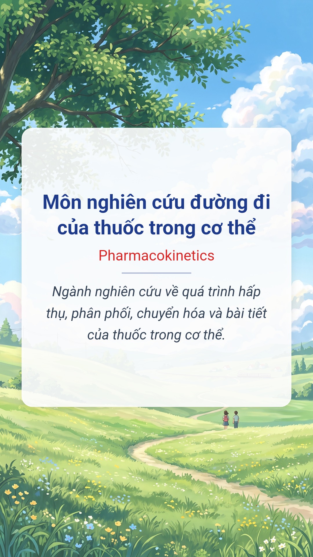 Hình minh hoạ "Môn nghiên cứu đường đi của thuốc trong cơ thể" tiếng Anh là "Pharmacokinetics"