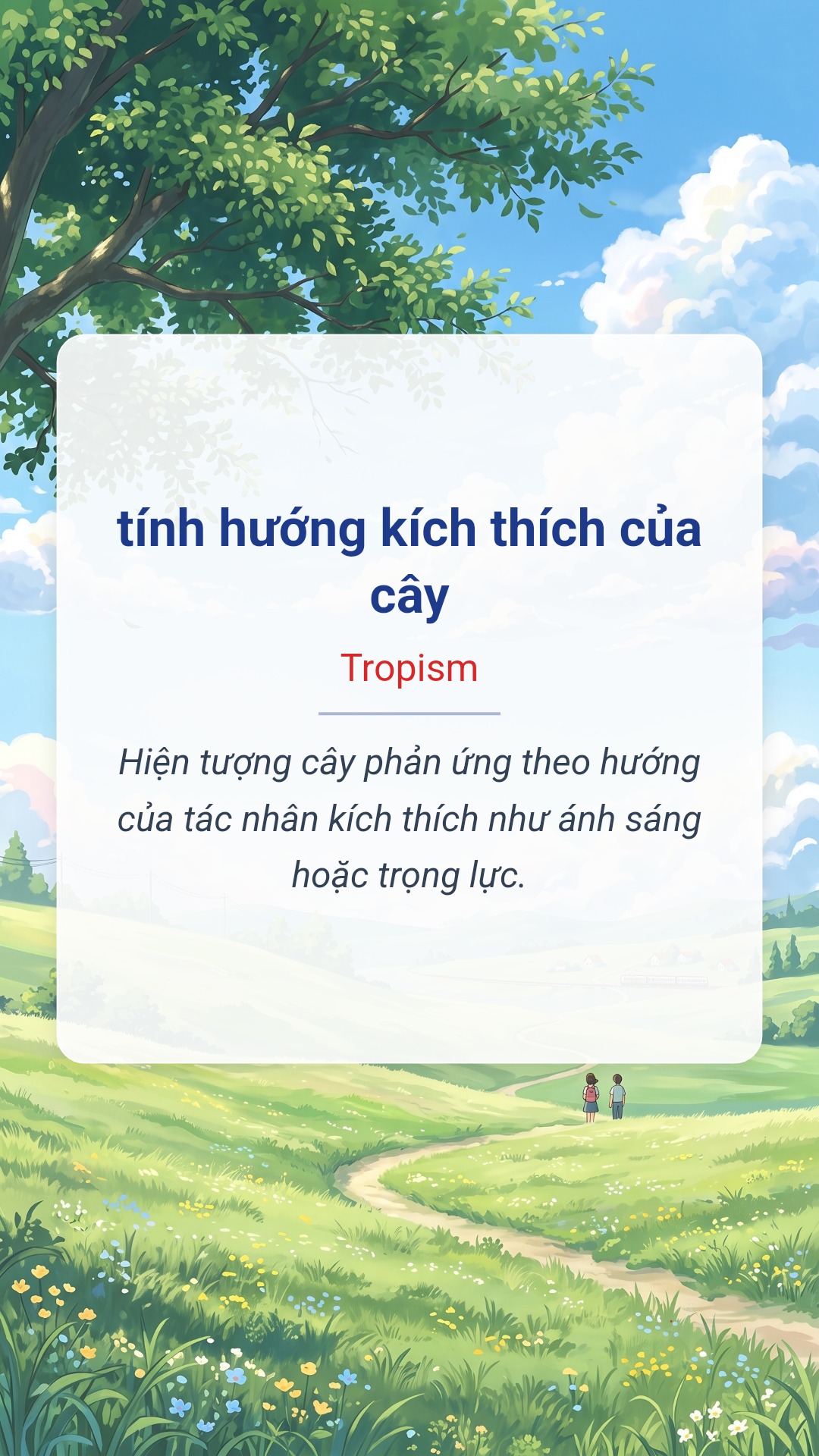 tính hướng kích thích của cây tiếng Anh là Tropism Hình minh hoạ "tính hướng kích thích của cây" tiếng Anh là "Tropism"