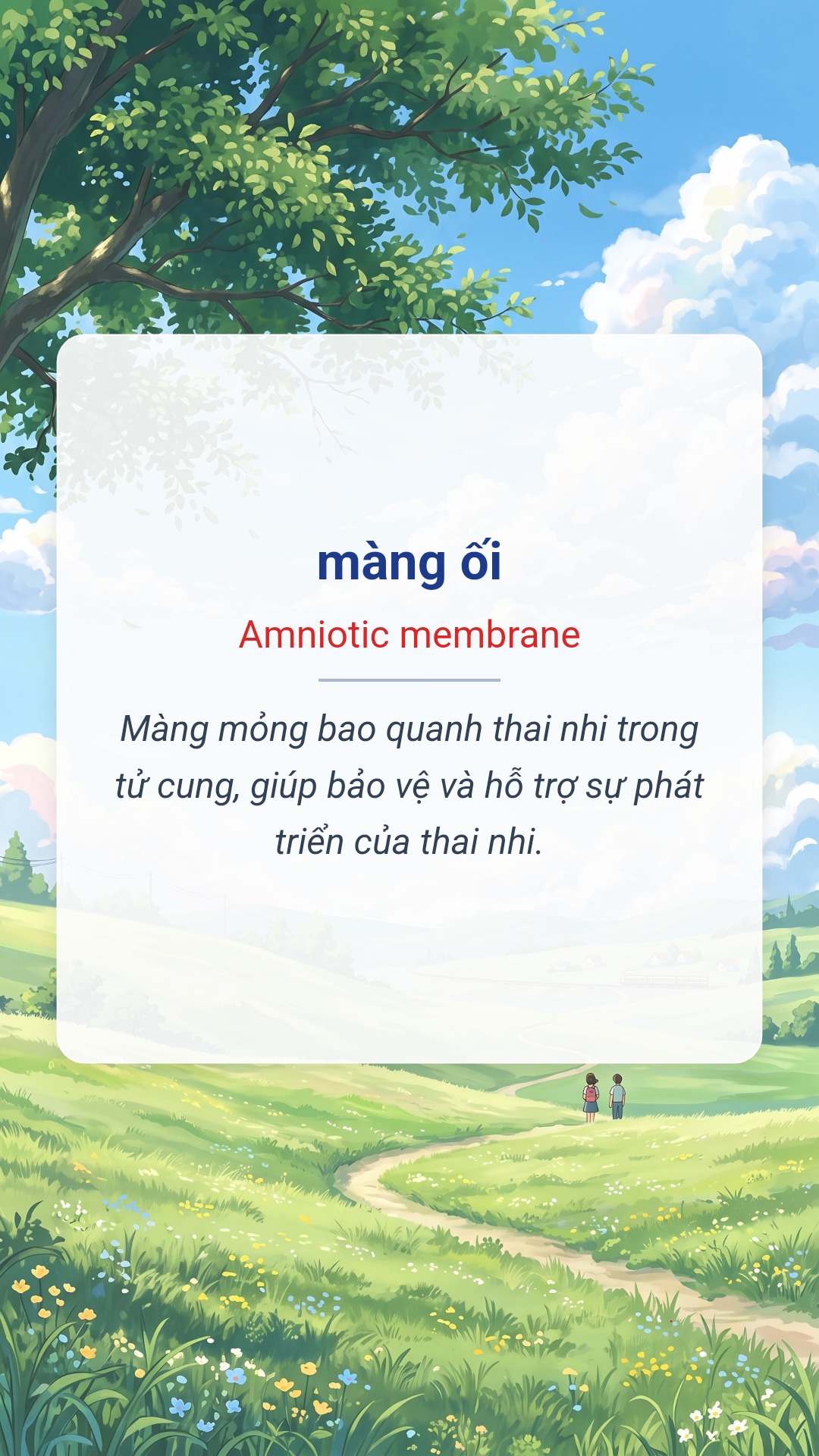màng ối tiếng Anh là Amniotic membrane Hình minh hoạ "màng ối" tiếng Anh là "Amniotic membrane"